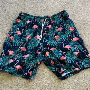 Goodfellow & Co Teal Swim Shorts
